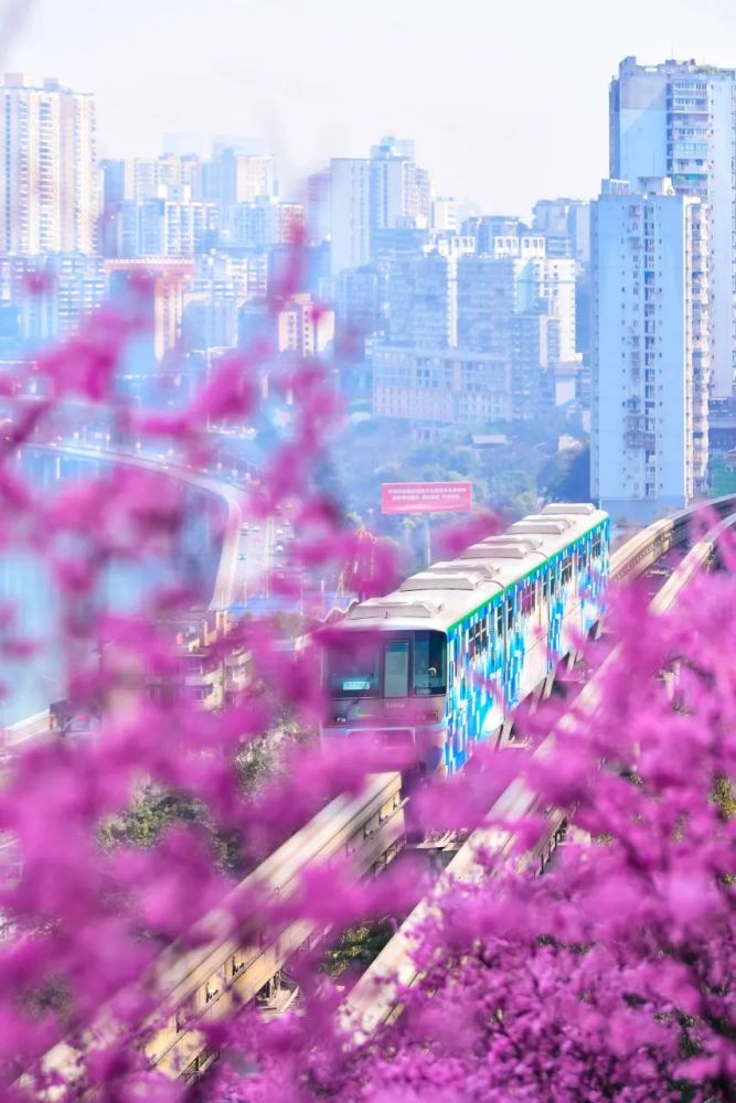 比成都秀美，比武汉安逸，被华春莹点赞“开往春天的列车”美上央视！