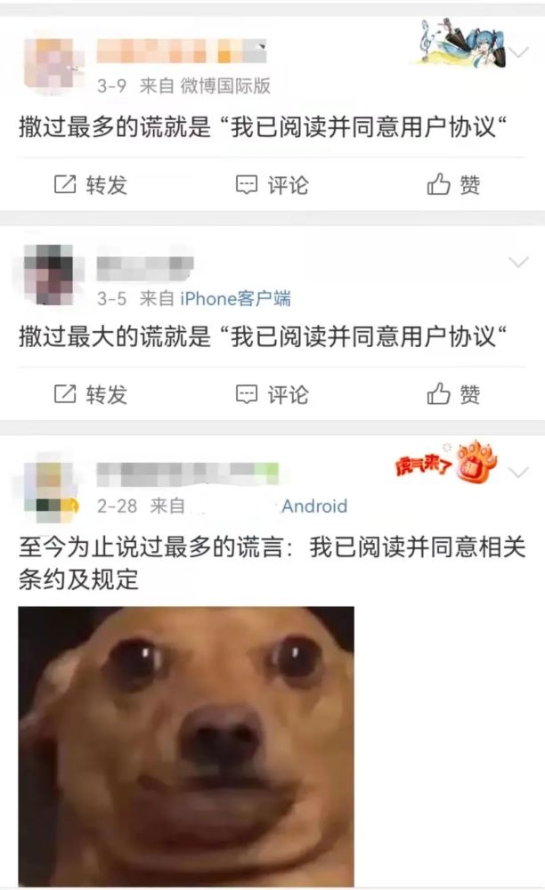 已阅读并同意？网友：这是我撒过最多的谎(图2)