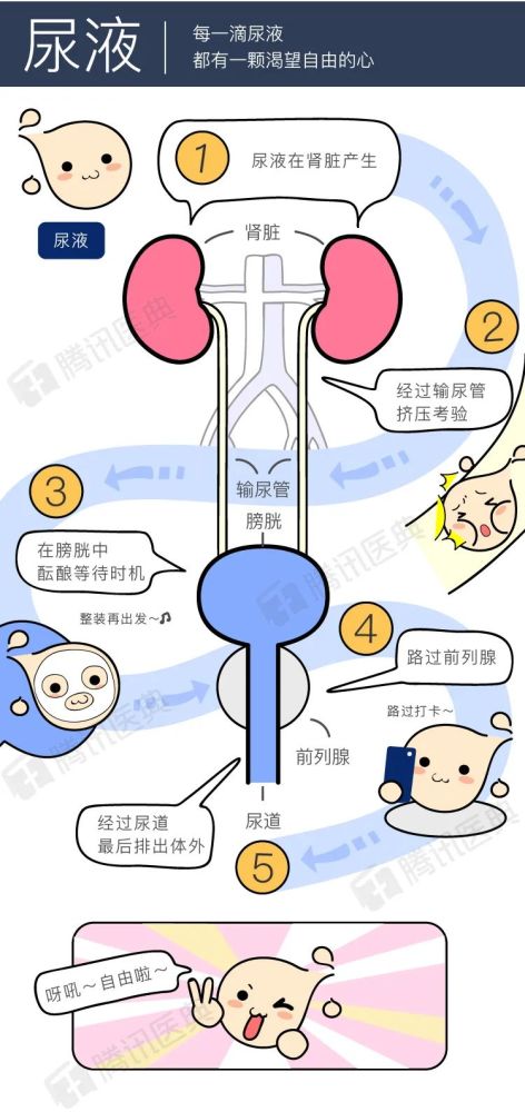 男生得了这3种羞羞的病，该看哪个科？女生慎入！(图1)