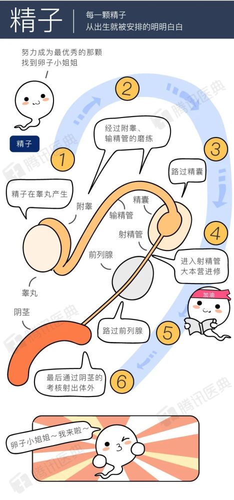 男生得了这3种羞羞的病，该看哪个科？女生慎入！(图2)