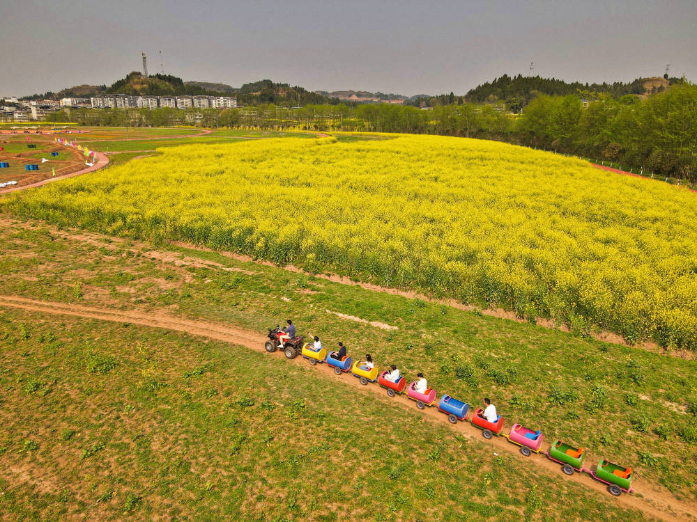 重庆最美赏花地在哪？潼南油菜花名列前茅，栽种历史已经500年(图10)