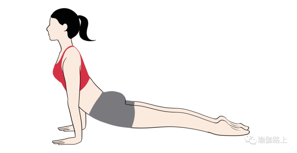 5套瑜伽序列，改善腰部疼痛，在家就可以练！(图6)