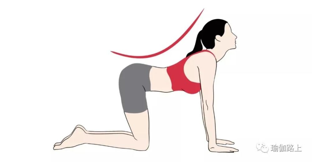 5套瑜伽序列，改善腰部疼痛，在家就可以练！(图4)