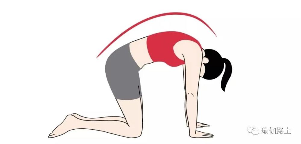5套瑜伽序列，改善腰部疼痛，在家就可以练！(图3)