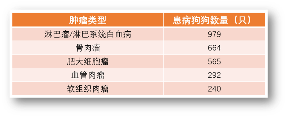 狗狗患癌风险排行榜最新出炉，看看你家毛孩子排第几？(图2)