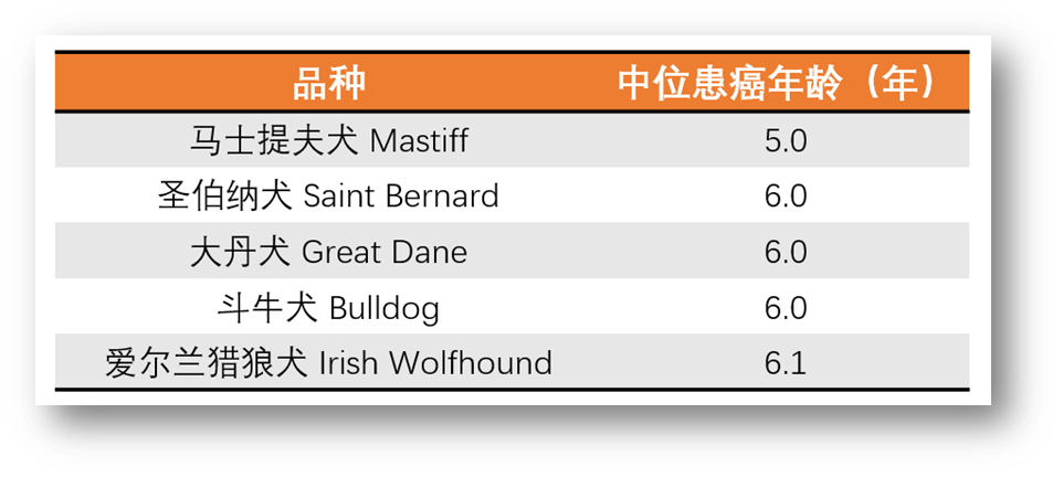 狗狗患癌风险排行榜最新出炉，看看你家毛孩子排第几？(图3)