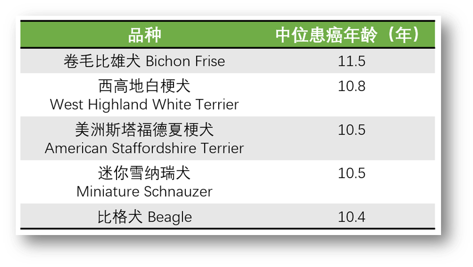 狗狗患癌风险排行榜最新出炉，看看你家毛孩子排第几？(图5)